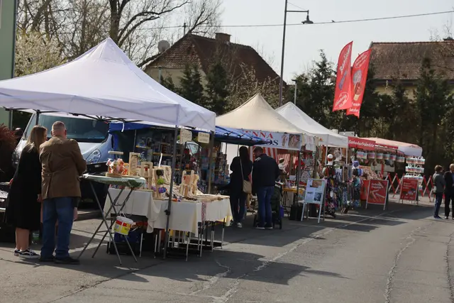 Foto: Johann Schleich