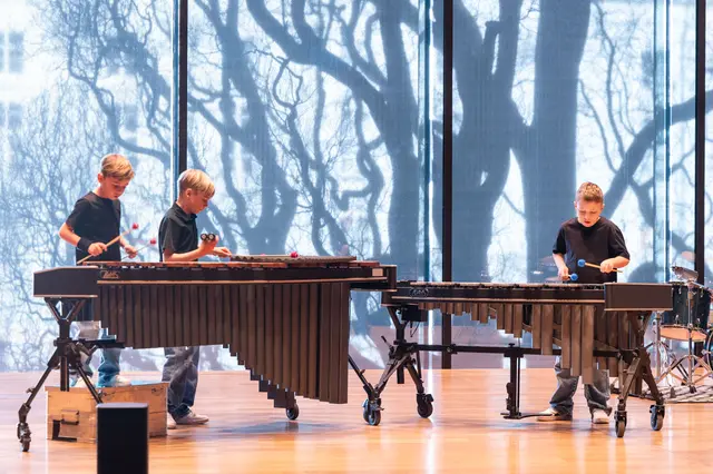 „The Young Sticks“ begeistern bei Wettbewerben