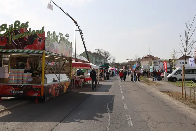 Foto: Johann Schleich