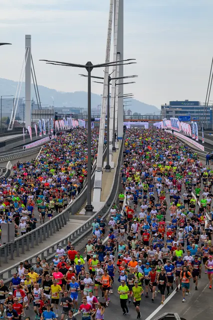 Das war der 24. Oberbank Linz Donau Marathon