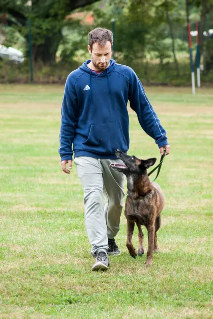 "Hunde sind nicht zuletzt aufgrund ihrer starken Bindungsfähigkeit zu Menschen sehr beliebte Haustiere. Ein gutes und harmonisches Zusammenleben zwischen Mensch und Tier muss daher Grundsatz und Ziel jeder Hundehaltung sein", heißt es in der Presseaussendung der Tierschutzombudsstelle | Foto: Susanne/Pixabay (Symbolbild)
