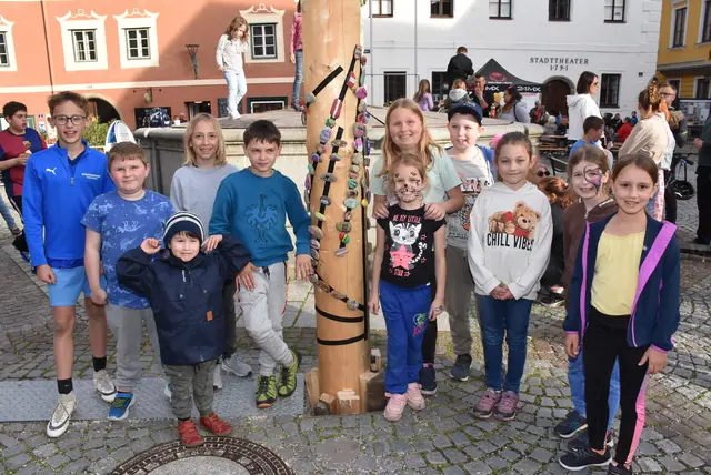 Maibaum Grein 2025. Aufgestellt von der SPÖ Grein seit nach dem 2. Weltkrieg.  | Foto: Robert Zinterhof