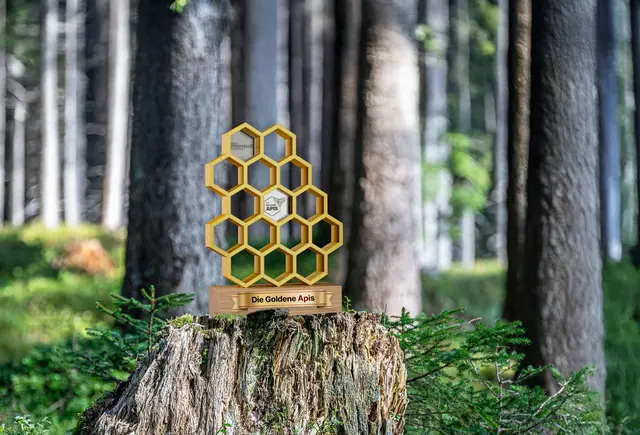 „Die „goldene Apis“ wird als Trophäe in Gold, Silber und Bronze aus recyceltem Material in Holzoptik hergestellt. | Foto: Kärntner Sparkasse AG