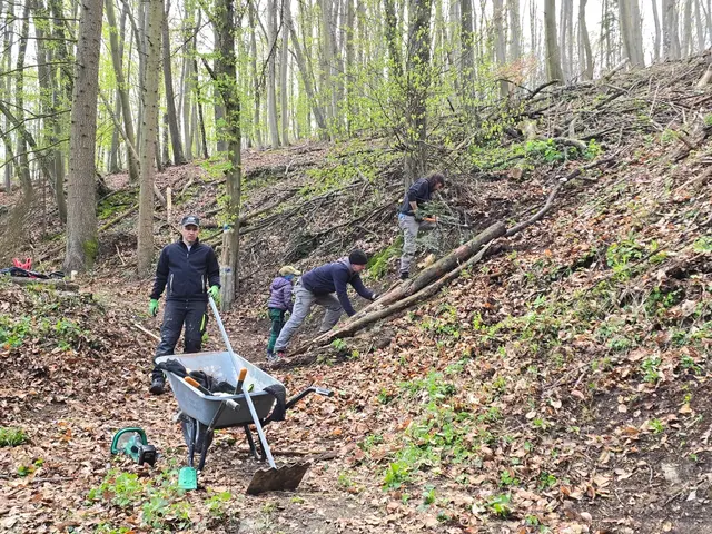 Nicht nur im Ortsgebiet, sondern auch im Wald wurde fleißig gesammelt, um die Natur wieder ein Stück sauberer und schöner zu machen. | Foto: Bad Sauerbrunn 