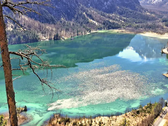 Ein echter Hingucker ist der imposante Tiefblick auf den Almsee. | Foto: Gruber