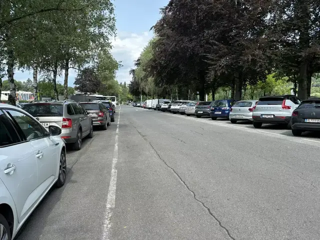 Freie Parklücken werden auch in der Ostbucht immer mehr zur Seltenheit.  | Foto: MeinBezirk.at