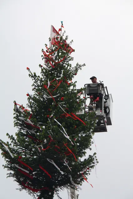 Der Maibaum im Markt Pabneukirchen wird von der Feuerwehr Pabneukirchen aufgestellt. | Foto: Robert Zinterhof