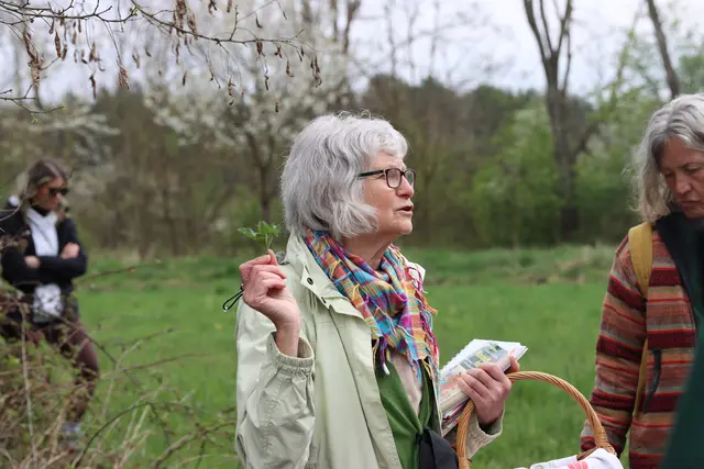 Frühlingswildkräuterwanderung des BUKV