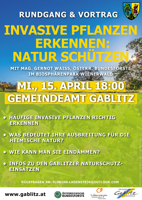 Invasive Pflanzen erkennen – Gemeinde Gablitz lädt zu Rundgang und Vortrag