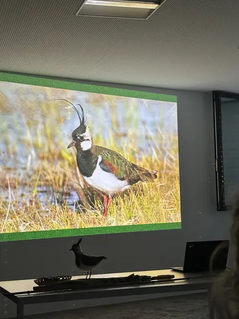 Foto: Walter Kvapil