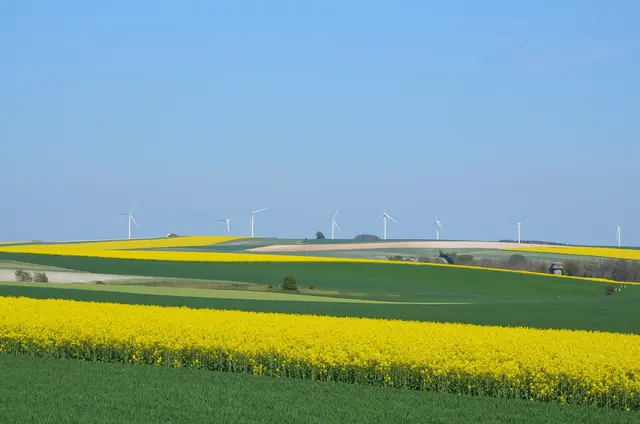 Gemeinsam mit dem regionalen Familienunternehmen BLOCH3 aus Krumbach wird im Gemeindegebiet ein Windpark projektiert.  | Foto: pixabay (symbol)