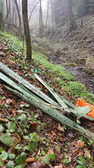 Folien wurden aus steilen Waldböschungen zwischen Warth und Thann geborgen. | Foto: Grüne Warth