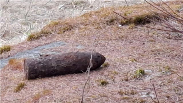 Diese Granate lag direkt neben der B 38 in Sandl. | Foto: Polizei