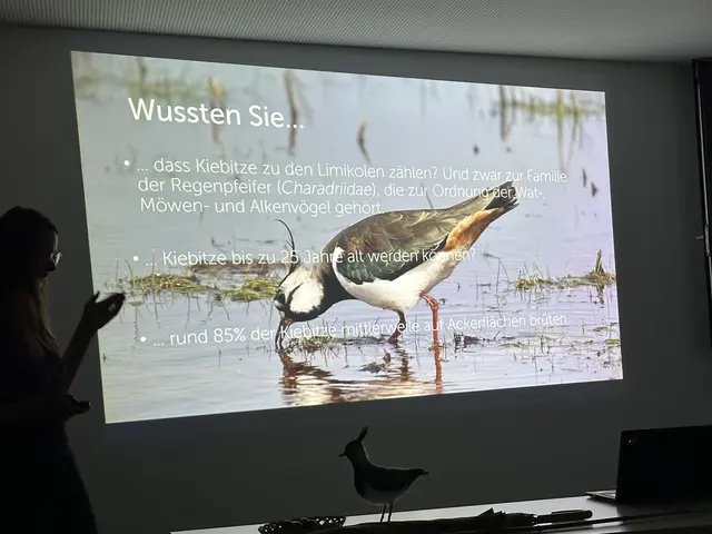 Foto: Walter Kvapil