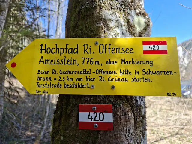 Vom Almsee Richtung Ameisstein. Vorsicht, der Weg ist unmarkiert. | Foto: Gruber