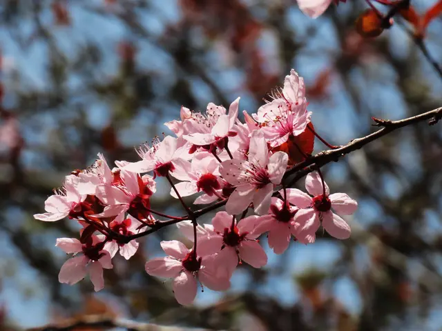 Zeige uns deine schönsten Schnappschüsse