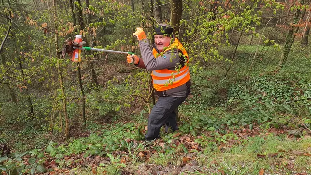 Umweltschützer finden alarmierende Mengen an Folien in Wäldern