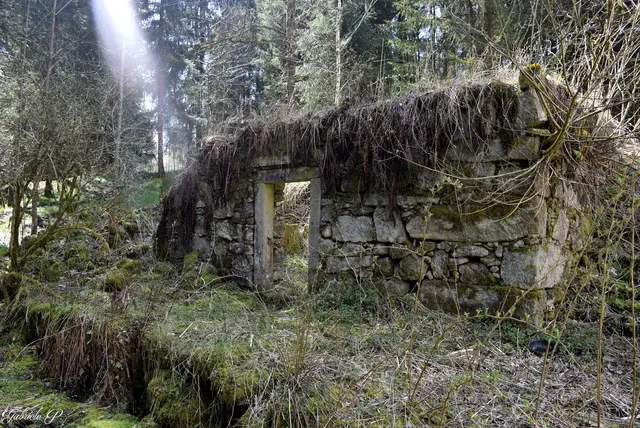 Bei der Wanderung "Leitenweg" in Münzkirchen gibt's interessante Gemäuer zu sehen. | Foto: Gabriele Pröller