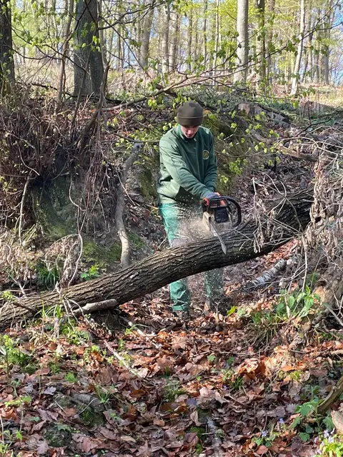 Besonders schön war auch heuer wieder zu sehen, wie viele Menschen Verantwortung für ihre Umwelt übernehmen. Ob entlang der Wege, auf Wiesen oder auch im Wald. | Foto: Burschenverein Bad Sauerbrunn 