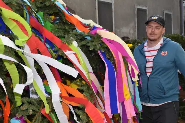 Maibaum Grein 2025. Aufgestellt von der SPÖ Grein seit nach dem 2. Weltkrieg.  | Foto: Robert Zinterhof