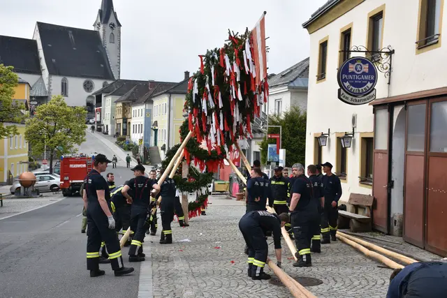 Der Maibaum im Markt Pabneukirchen wird von der Feuerwehr Pabneukirchen aufgestellt. | Foto: Robert Zinterhof