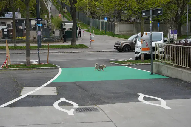 Foto: Kaja Jerabek/MeinBezirk