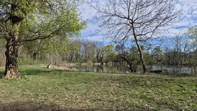 Rund um den Pionierteich im Akademiepark