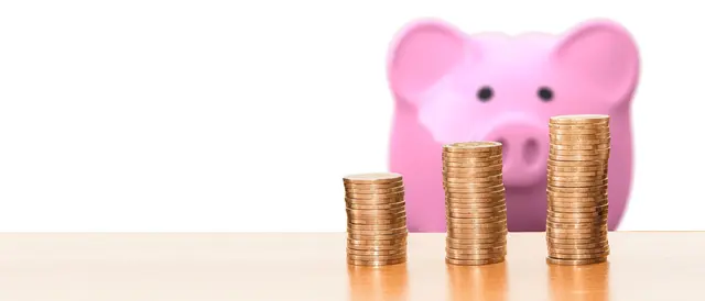 Das Doppelbudget für die Jahre 2027/28 fordert aktuell Politik und Beamtenschaft. | Foto: pixabay / geralt