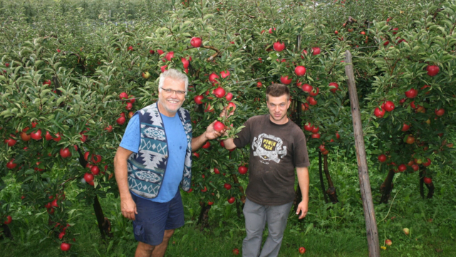 Trockenheit noch kein Problem fürs edle Obst