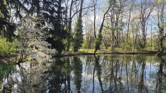 Zuerst der Teich gleich beim Theresienplatz (Knollteich)