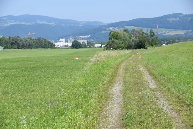 Segelflugplatz Linz; © G. Fuß