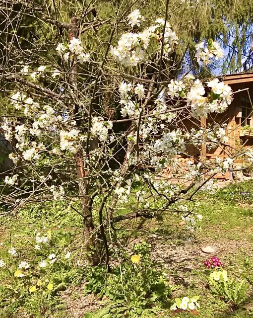 Mensch & Natur leben davon