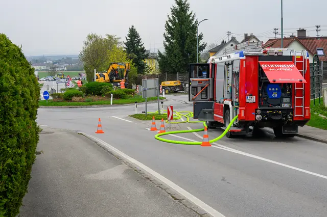 Foto: Fotokerschi/Matthias Kaltenleitner