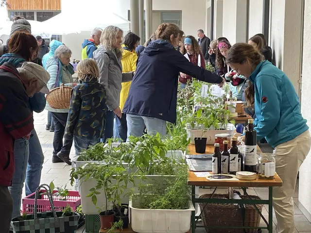 Pflanzerlmarkt im Innenhof des Gemeindeamts | Foto: Stefan Parzer