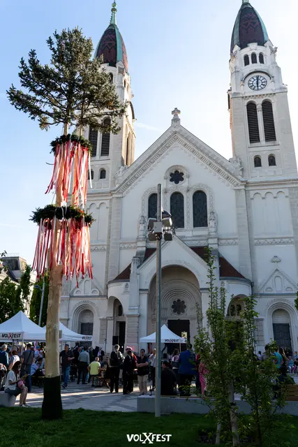 Um 17 Uhr wird der Maibaum feierlich aufgestellt.  | Foto: volxfest