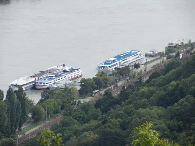 Bei der Schiffanlegestelle Nussdorf – hier auf Archivaufnahmen zu sehen – kam es wohl zu einem tragischen Unfall. (Archiv) | Foto: Gerhard Krause