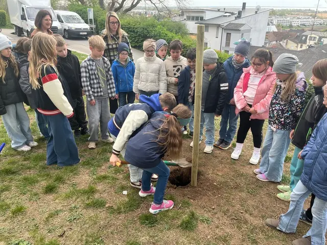 Foto: Volksschule am Tabor 
