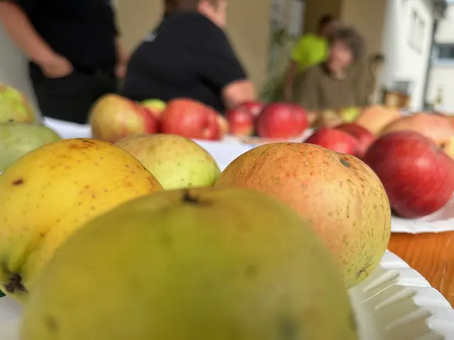 Die Initiative integriert gesunde Ernährung in den Schulalltag und stärkt das Bewusstsein für regionale Lebensmittel und kurze Lieferketten. | Foto: KLAR!