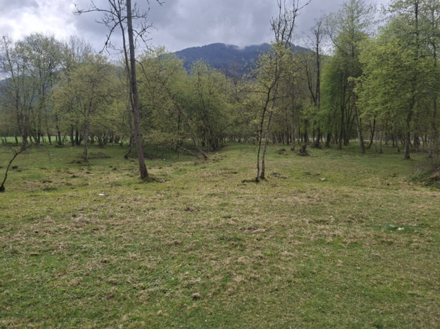 AWV Murau informiert die Bevölkerung von Teufenbach - Katsch