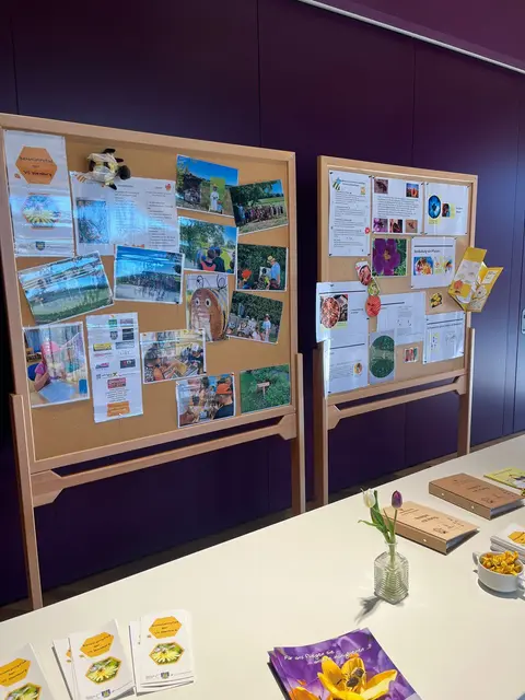  Zum Naturfilm „Tagebuch einer Biene" gehörte auch ein umfangreiches Rahmenprogramm. | Foto: St. Veit in der Südsteiermark