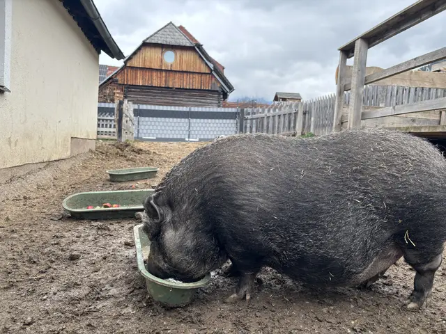 Foto: MeinBezirk