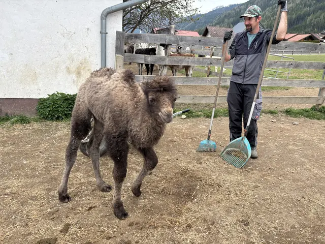 Foto: MeinBezirk
