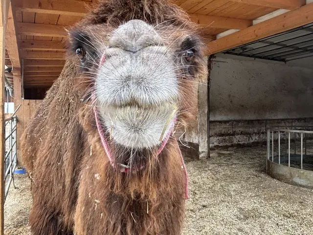 Foto: MeinBezirk