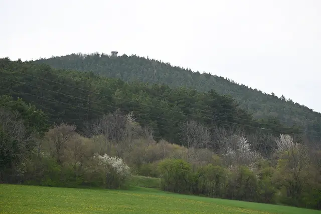 Gipfelsturm auf den Gfieder