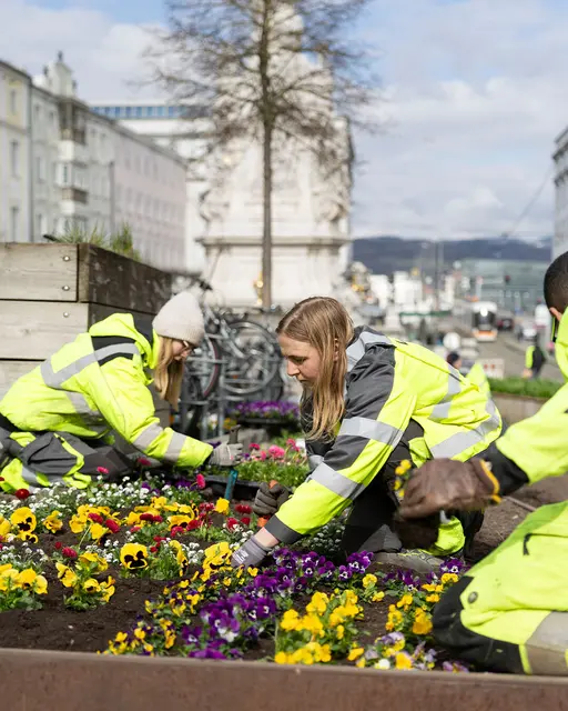 Stadt Linz strukturiert Abteilung Stadtgrün und Straßenbetreuung neu