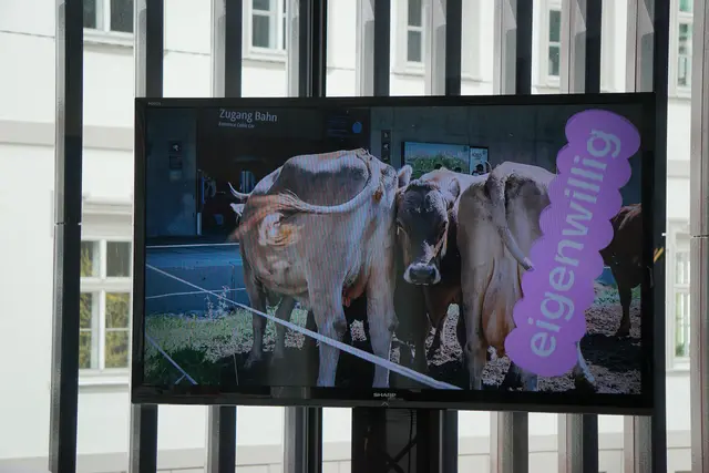 Präsentiert wurde auch ein Image-Film.  | Foto: MeinBezirk/SPRENGER