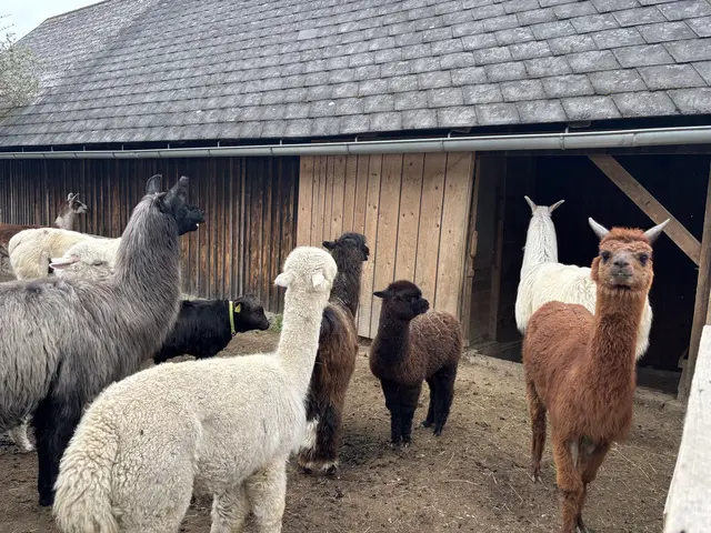 Foto: MeinBezirk