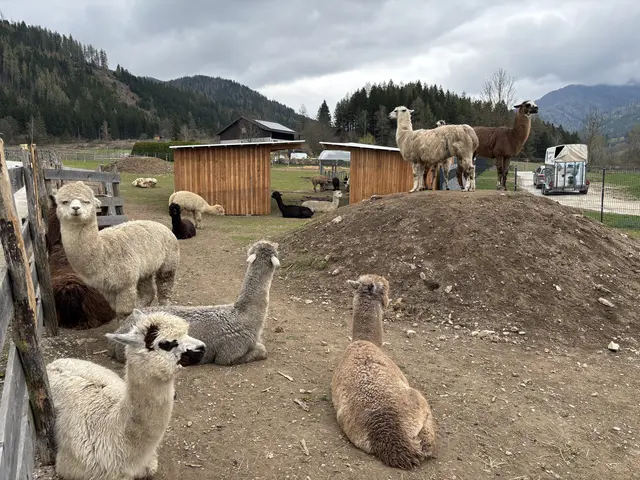 Foto: MeinBezirk