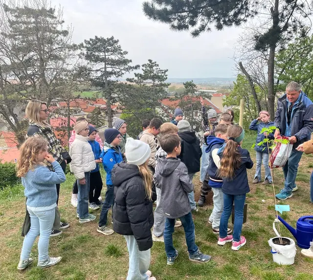 Foto: Volksschule am Tabor 