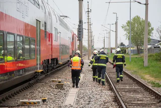 Foto: ffmoedling.at